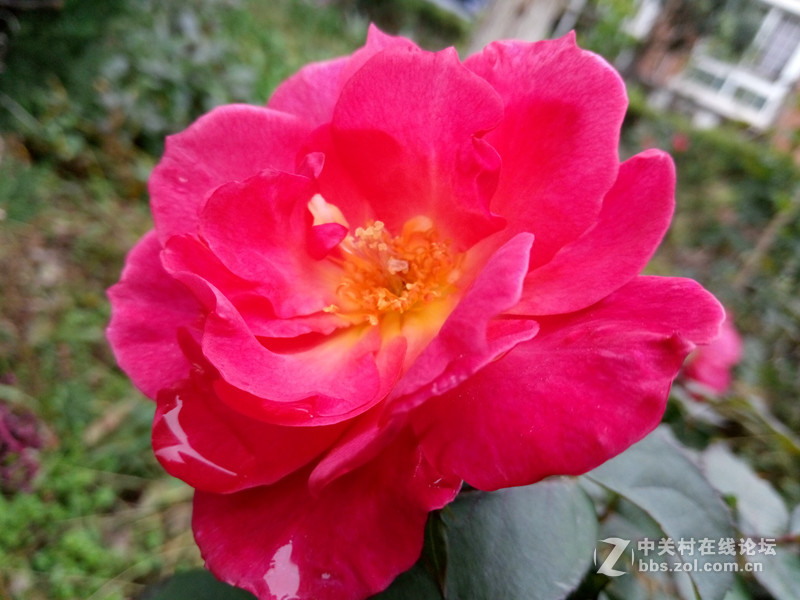 魅族5体验,魅蓝5手感