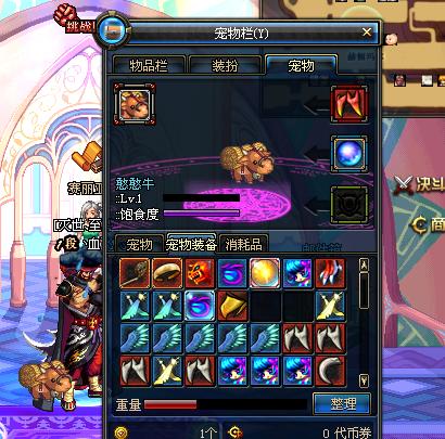 细数DNF里的五大经典萌宠，哪个是你不曾拥有的？