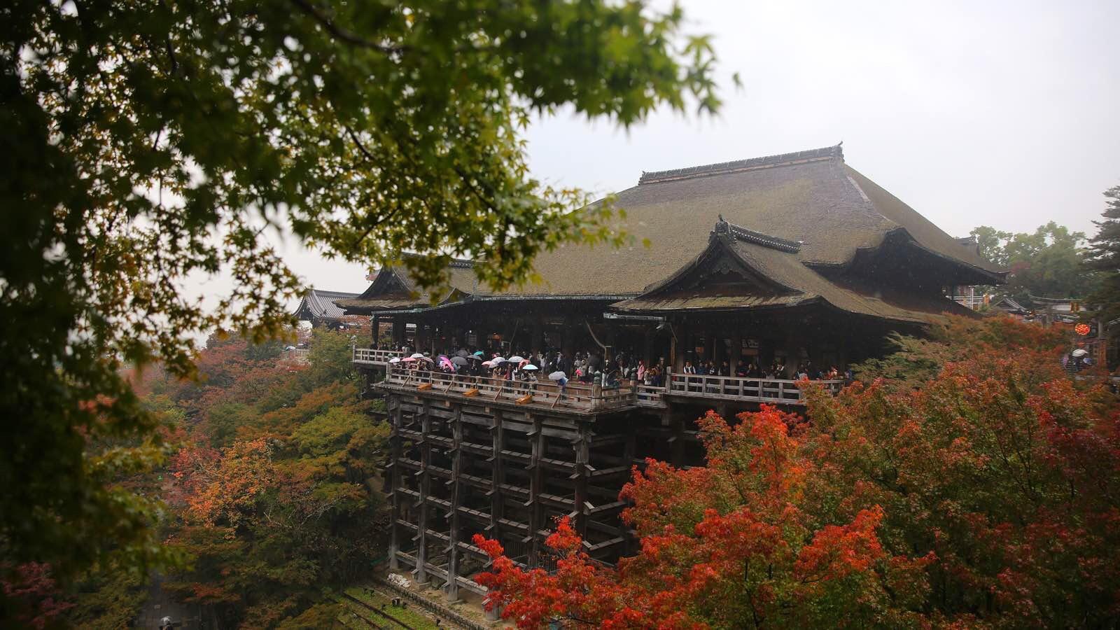 关西温泉六日游,大阪关西机场温泉