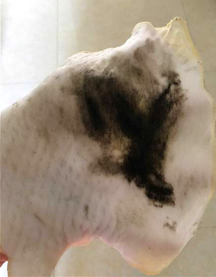 冰箱比马桶脏实验,冰箱用久了很脏教你一招