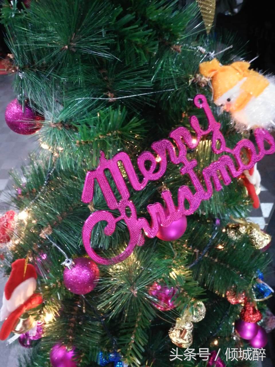 华韵琴行音乐会,华韵琴行五周年演出