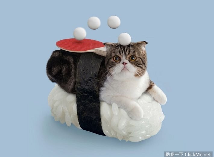 猫咪寿司店治愈短片,超可爱寿司猫咪