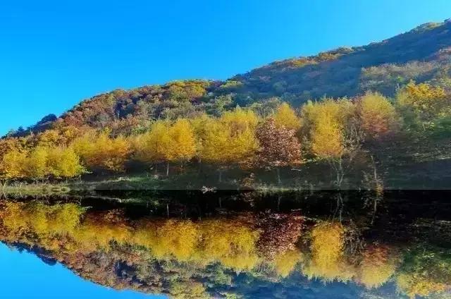 神农架自然保护区旅游攻略,神农架秘境演出值得看吗