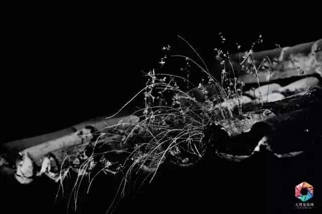 大理深度游攻略 (大理蜜月旅拍摄影攻略)