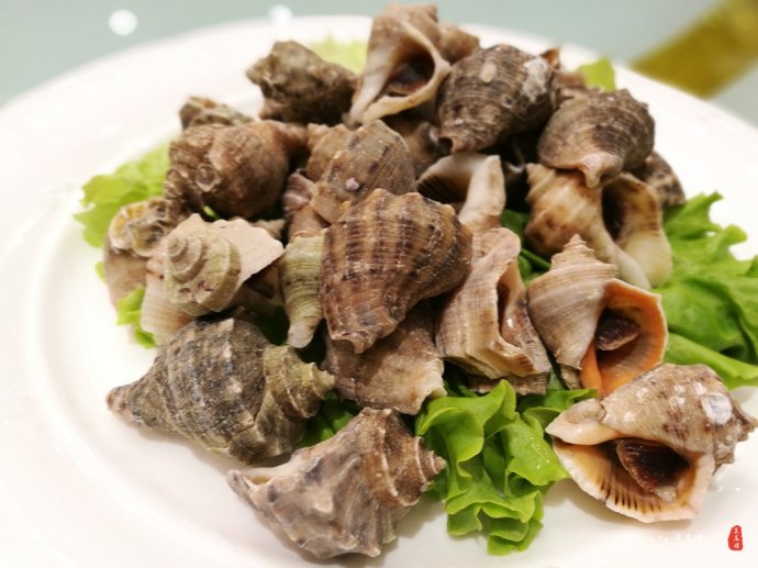 青岛哪里可以泡冰水浴,青岛什么地方可以泡温泉泡澡