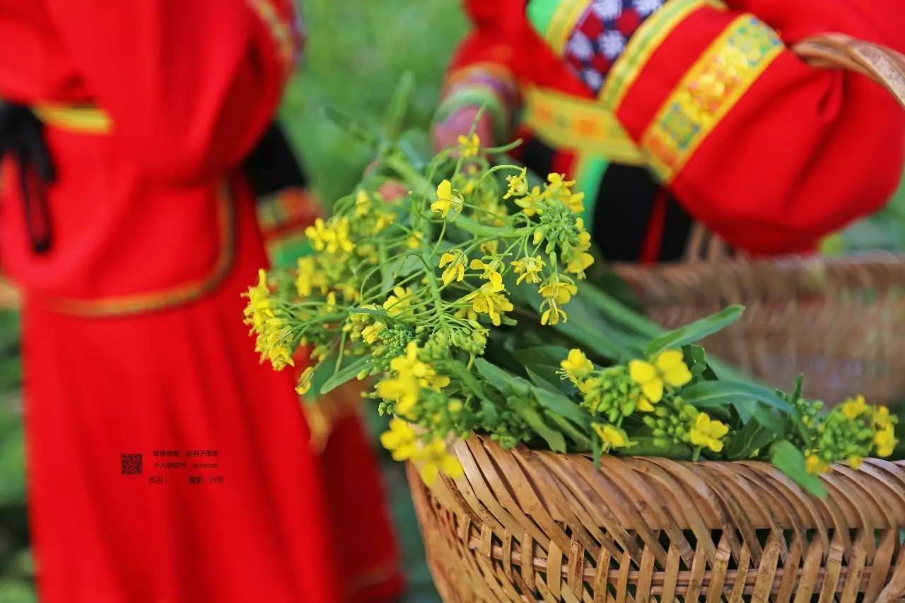 去清远连州怎样最方便,广东连州攻略