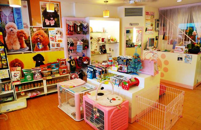 养狗之前请认真把这篇文章看完!