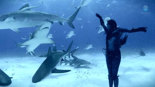 女朋友比手势什么意思,女朋友伸手指是什么意思