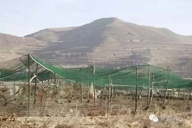 大通贫困村,大通县最穷的三个乡