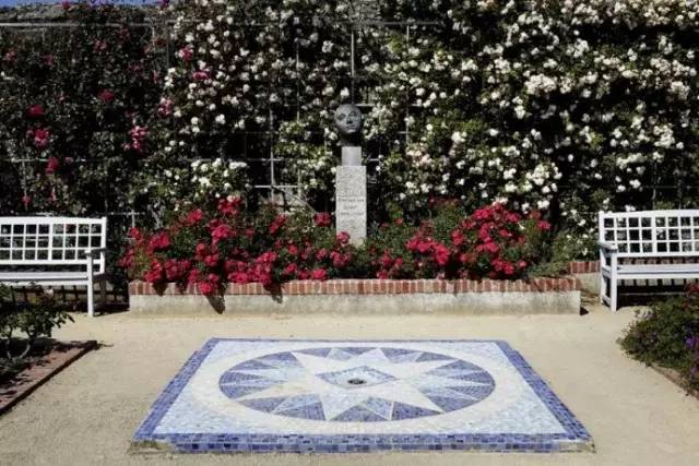 神秘的罗盘玫瑰，指引你幸运的方向