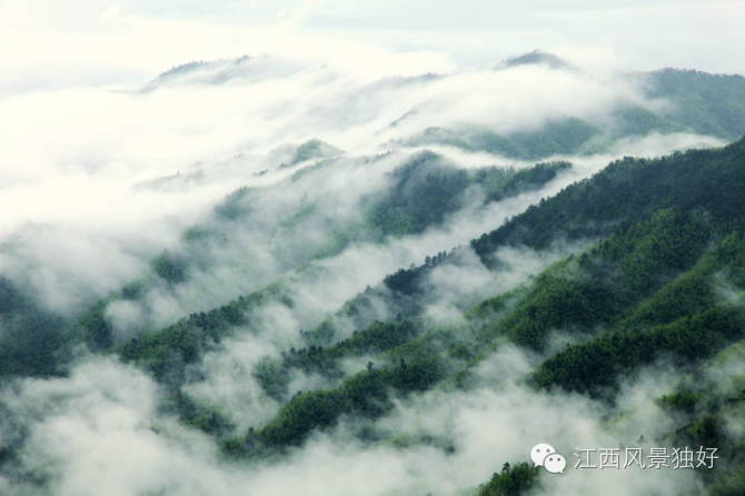 最美云海，人间仙境在江西