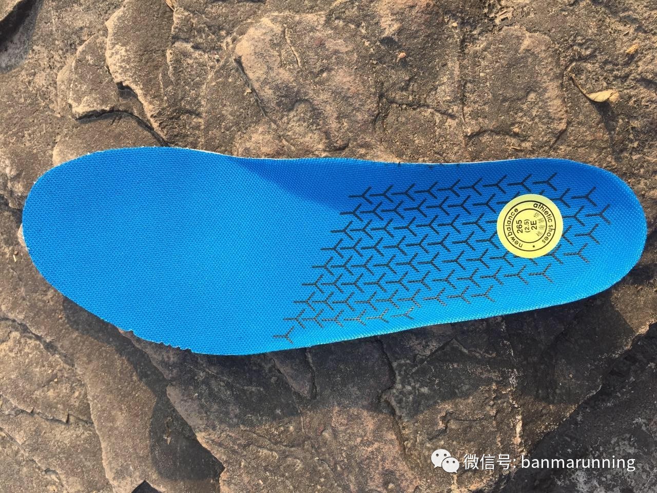 斑马跑鞋哪种好,斑马跑鞋