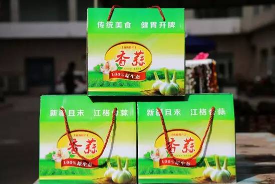 坐着飞机去度假,坐着飞机去过年