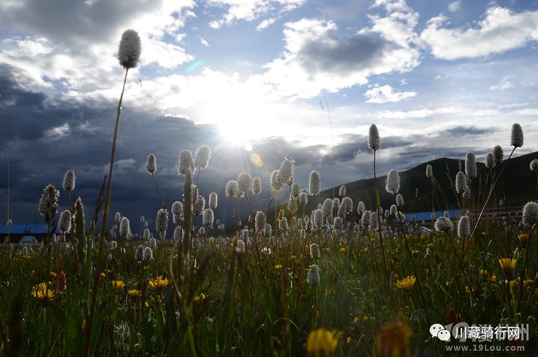 骑行318到尼泊尔,29天骑行川藏之旅