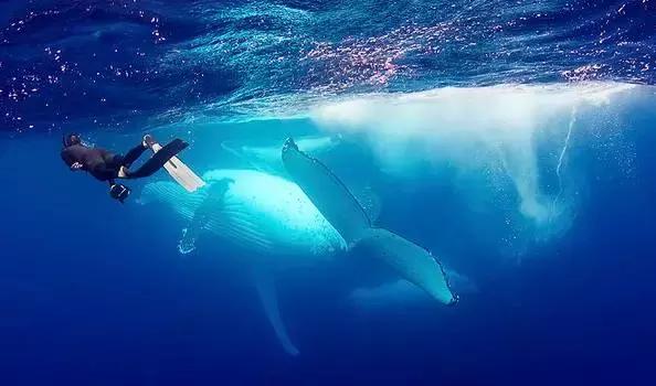 免签出境游推荐,春节海外免签旅游推荐