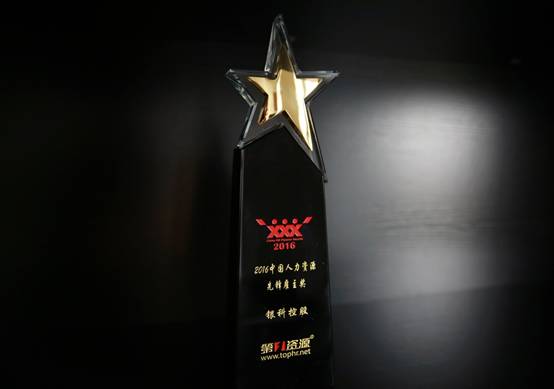 银如意公司,银科控股银如意