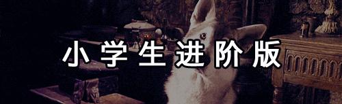 除了pardon还能说些什么,除了pardon还可以说什么