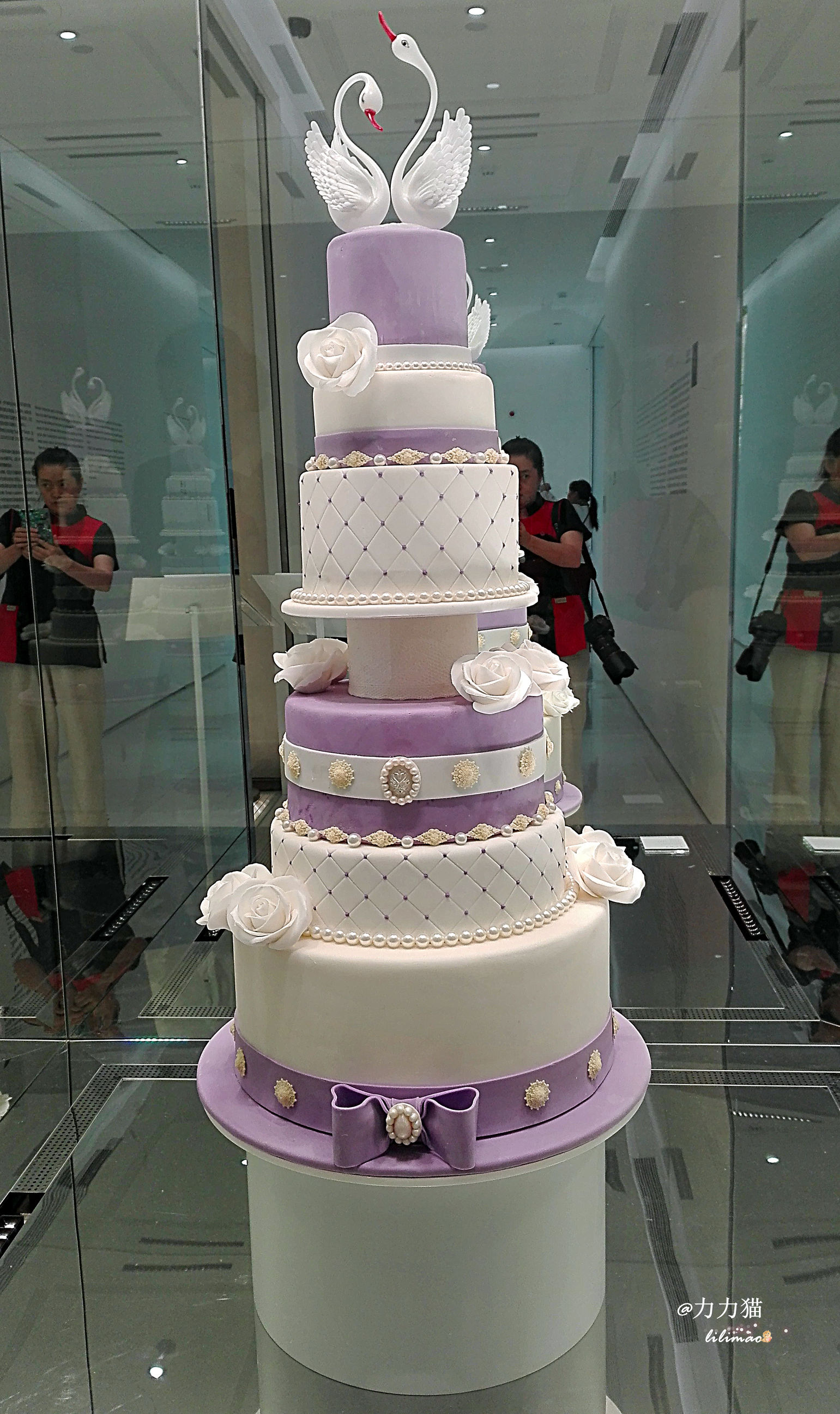 罗红摄影艺术馆蛋糕价格,罗红艺术馆黑天鹅蛋糕