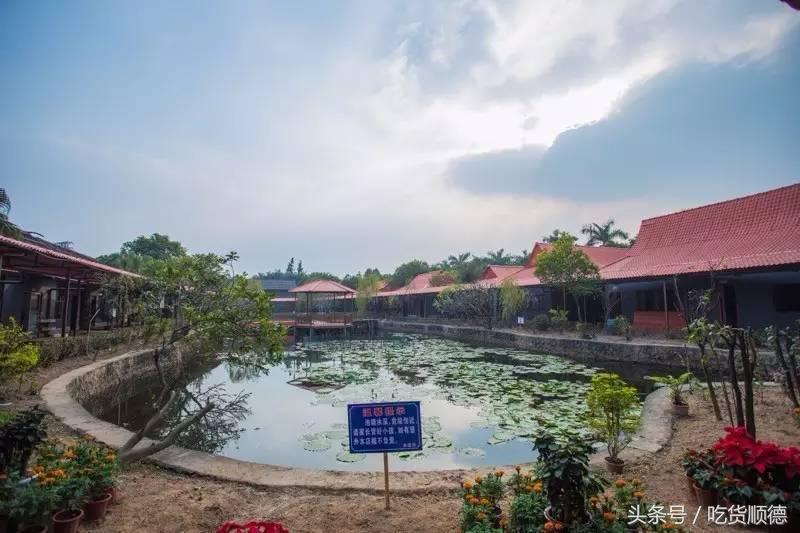 陪伴均安人十几年酒楼全面升级,全新创意茶点,大良都要过去饮茶
