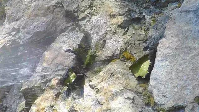 神农架自然保护区旅游攻略,神农架秘境演出值得看吗