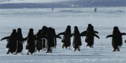 科普足踝扭伤防治,踝关节扭伤处理视频