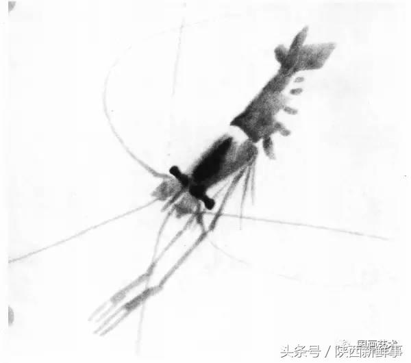 齐白石画虾步骤,齐白石画虾的作品叫什么名字