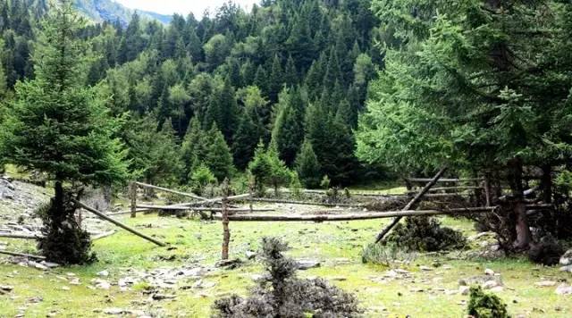 重庆到四川旅游自驾最佳路线,从四川出发旅游路线推荐环线