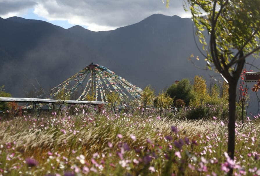 穿越色季拉山口吃到酸臭的牦牛奶渣（二）