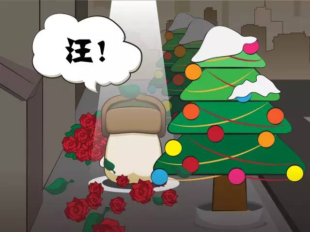 什么车开着有面子又便宜,开着有面子而且性价比高的车