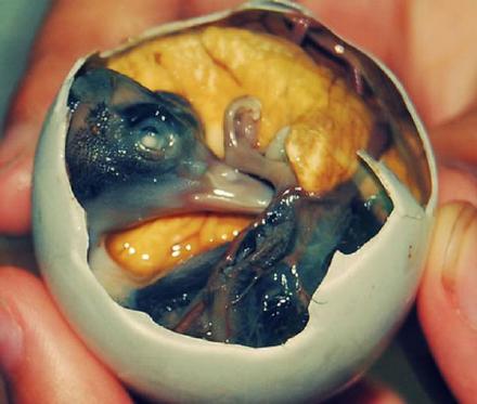 盘点中国十大奇葩美食,盘点各地的奇葩美食