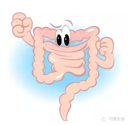 中老年便秘怎样调养,自我疗法治疗便秘的方法