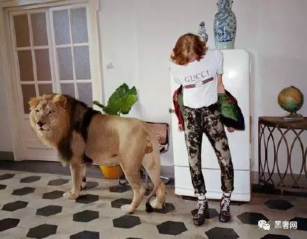 chanelgucci是什么牌子,chanelguccidior穿衣风格