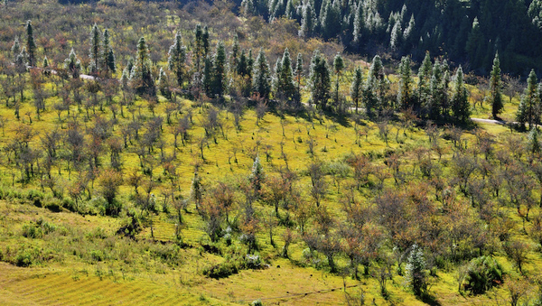 腾冲热海泡温泉旅游攻略,踏上腾冲温泉之旅享受泡汤的美好