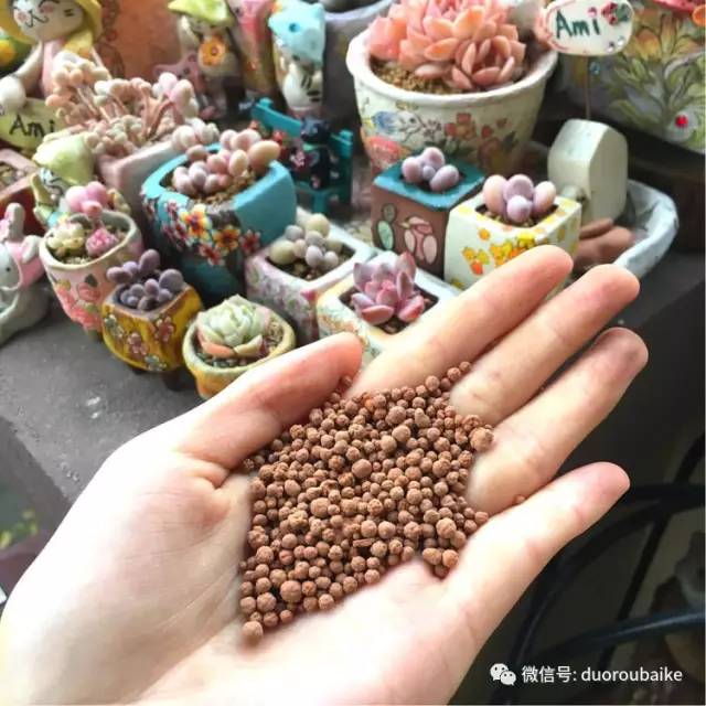 太实用了!图解多肉的配土及用药!