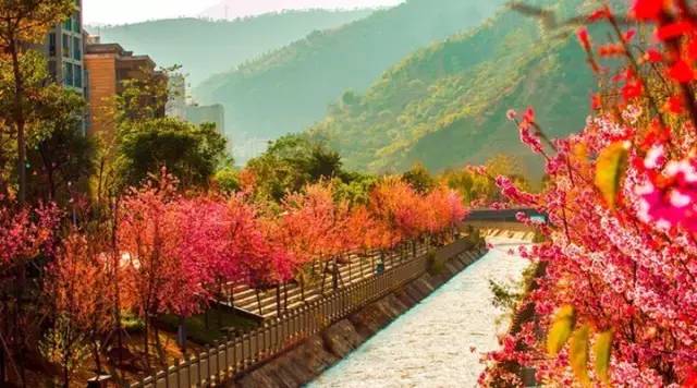 重庆到四川旅游自驾最佳路线,从四川出发旅游路线推荐环线