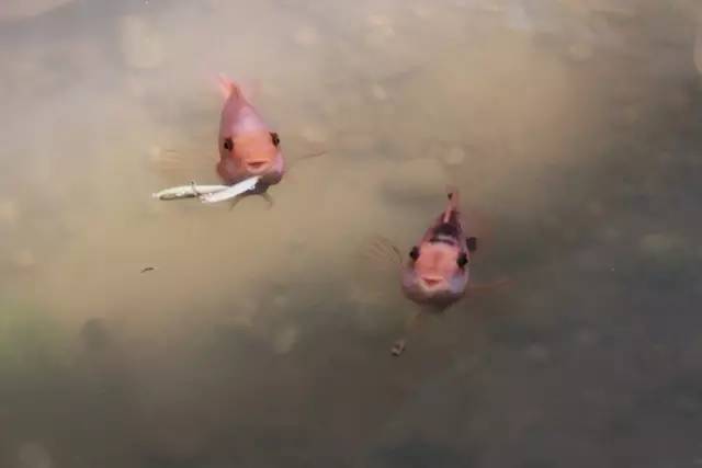 这间隐秘的书店，说要重新定义广州的美学