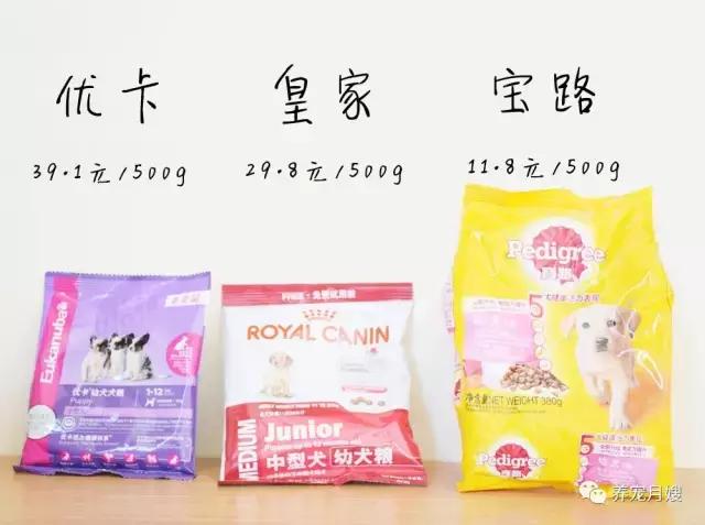 狗粮测评进口粮,狗粮评测报告