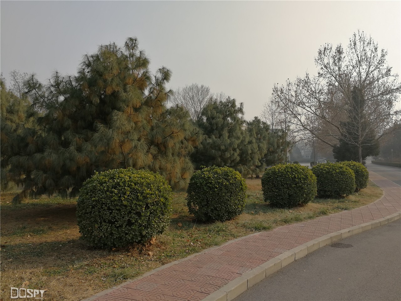 华为mate9pro评测,华为mate9pro性能详解