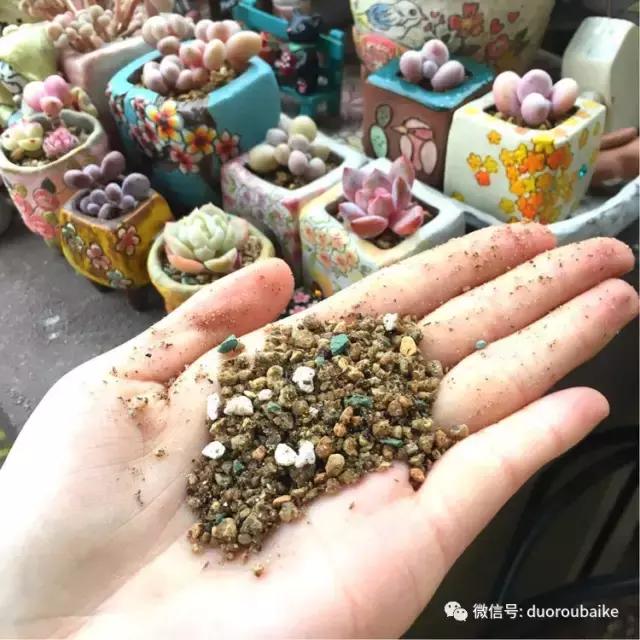 太实用了!图解多肉的配土及用药!