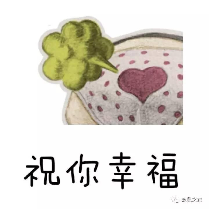 缇庨澶╀笅鍏荤敓澶у笀,缇庨澶╀笅棣欑尓