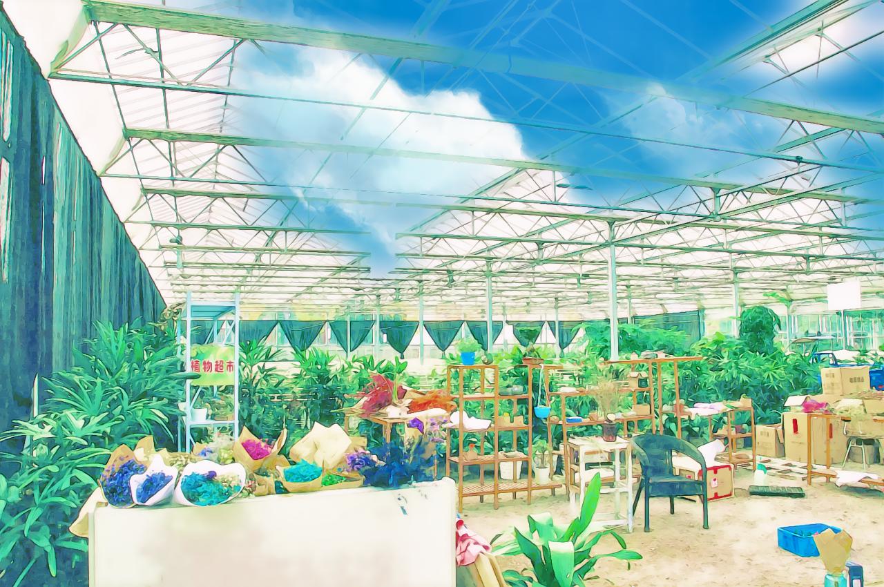 丽水学院校园风光,丽水学院的校园风光