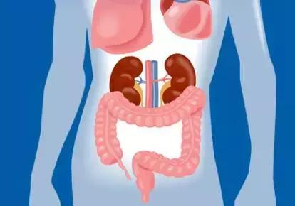 清肠是白天清肠还是晚上清肠好,经常清肠对身体的好处和坏处