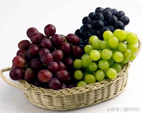 红提的营养价值吃法,红提营养价值及功效