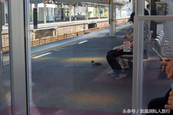 大江户温泉上海大场,日本热海大江户温泉