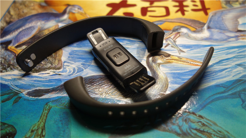 运动手环哪款心率监测好,运动心率监测手环评测