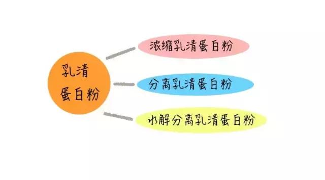 白蛋白粉测评,粉蛋面测评