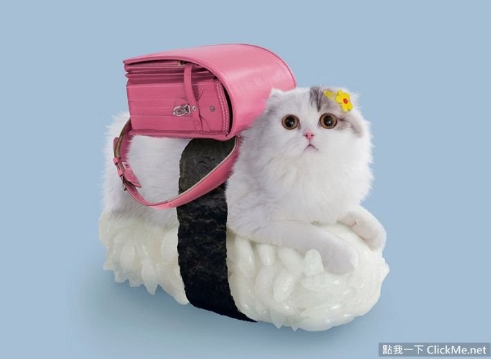 猫咪寿司店治愈短片,超可爱寿司猫咪