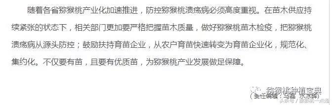 人工种植猕猴桃苗木价格,种植什么品种猕猴桃最有销路