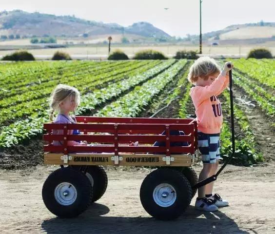 免签出境游推荐,春节海外免签旅游推荐