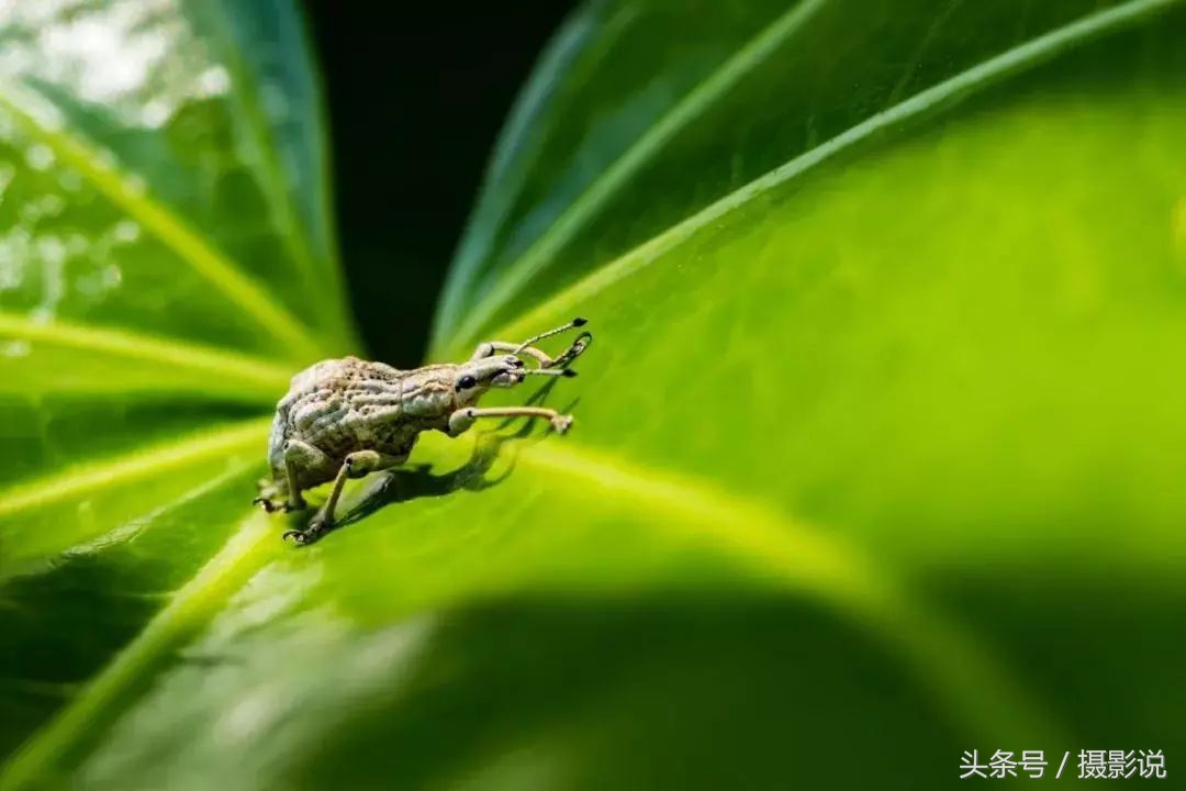 nisi近摄镜使用方法视频,nisi耐司滤镜